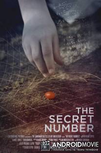 Тайное число / Secret Number, The