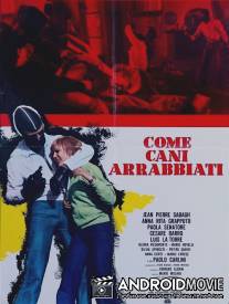 Как бешеные псы / Come cani arrabbiati