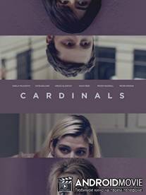 Кардиналы / Cardinals