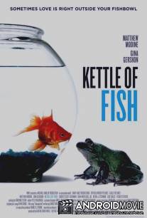 Аквариум / Kettle of Fish