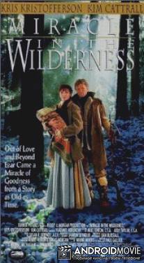 Чудо в девственной глуши / Miracle in the Wilderness