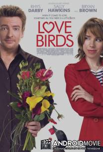 Любовные пташки / Love Birds