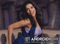 Полный дом 2 / Housefull 2
