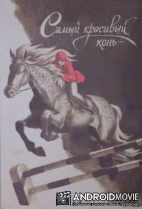 Самый красивый конь / Samyy krasivyy kon