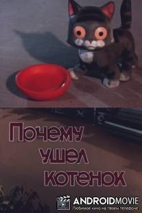 Почему ушел котенок / Pochemu ushel kotenok