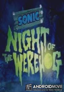 Соник: Ночь ежа-оборотня / Sonic: Night of the Werehog