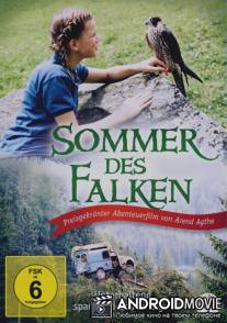 Лето сокола / Der Sommer des Falken