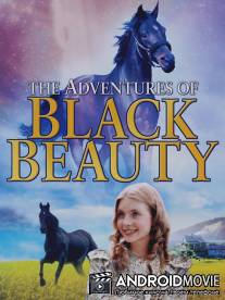 Приключения Черного Красавчика / Adventures of Black Beauty, The