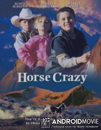 Дикая лошадь / Horse Crazy