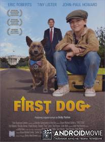 Первый пёс / First Dog