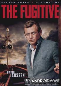Беглец / Fugitive, The