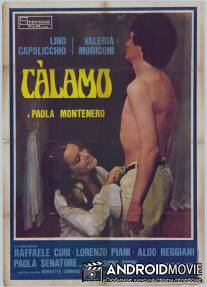 Calamo