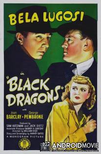 Черные драконы / Black Dragons