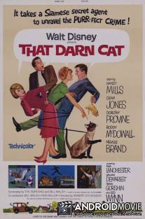 Эта дикая кошка / That Darn Cat!