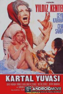 Гнездо ястреба / Kartal yuvasi