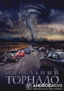 Идеальный торнадо / Tornado Warning