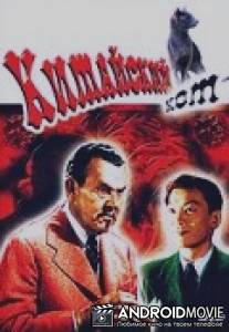 Китайский кот / Charlie Chan in The Chinese Cat