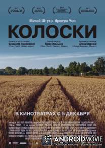 Колоски / Poklosie