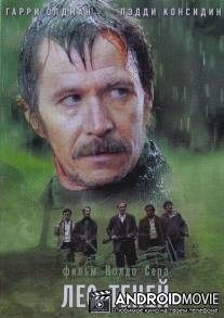 Лес теней / Bosque de sombras