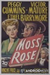 Мускусная роза / Moss Rose