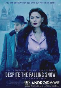 Несмотря на падающий снег / Despite the Falling Snow
