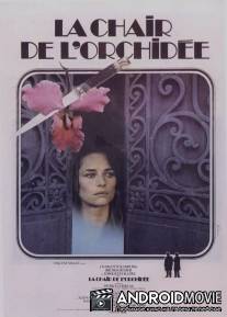 Плоть орхидеи / La chair de l'orchidee