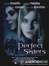 Школьный проект / Perfect Sisters