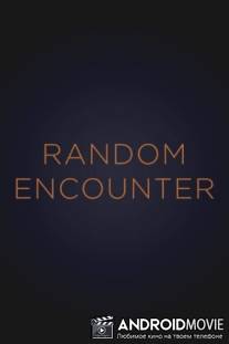 Случайная встреча / Random Encounter