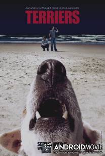 Терьеры / Terriers