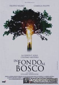 В глубине леса / In fondo al bosco