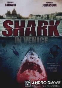 Акула в Венеции / Shark in Venice
