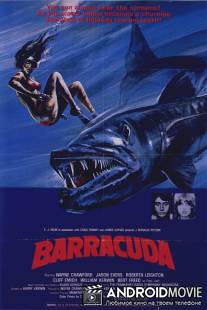Барракуда / Barracuda