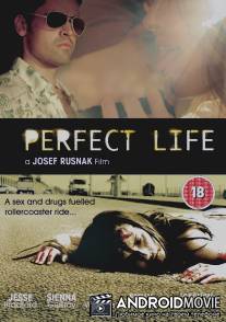 Идеальная жизнь / Perfect Life