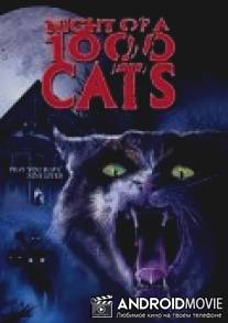 Ночь 1000 котов / La noche de los mil gatos