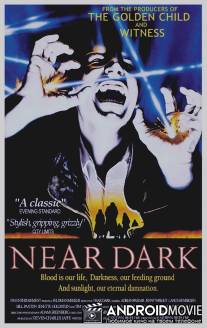 Почти стемнело / Near Dark