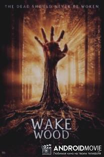 Пробуждающий лес / Wake Wood