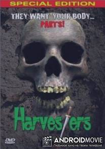 Сборщики урожая / Harvesters