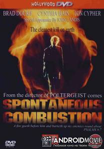 Спонтанное возгорание / Spontaneous Combustion