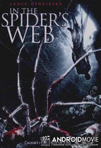 В паучьих сетях / In the spider’s Web